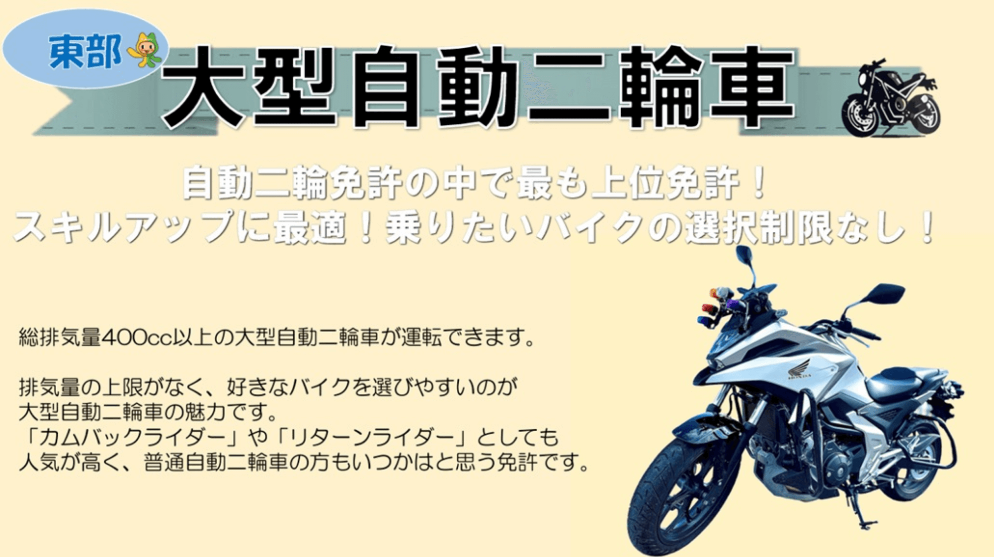 教習車の紹介